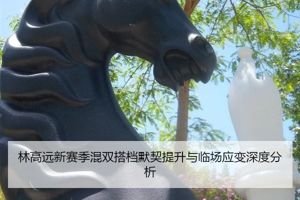 lin-gao-yuan-xin-sai-ji-hun-shuang-da-dang-mo-qi-ti-sheng-yu-lin-chang-ying-bian-shen-du-fen-xi-2-480.jpg